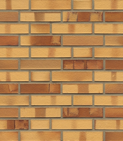 Muhr WF 01 Niederlausitzer Gelb spezial glatt